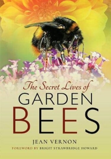 The Secret Lives Of Garden Bees Av Jean Vernon The Secret Lives Of Garden Bees Av Jean Vernon
