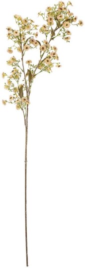 Bloomingville Stilk voksblomst Hvit