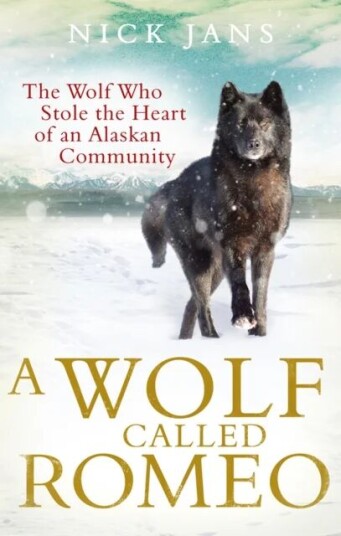 A Wolf Called Romeo Av Nick Jans