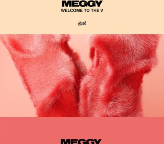 Meggy Welcome To The V Uk Vinyl