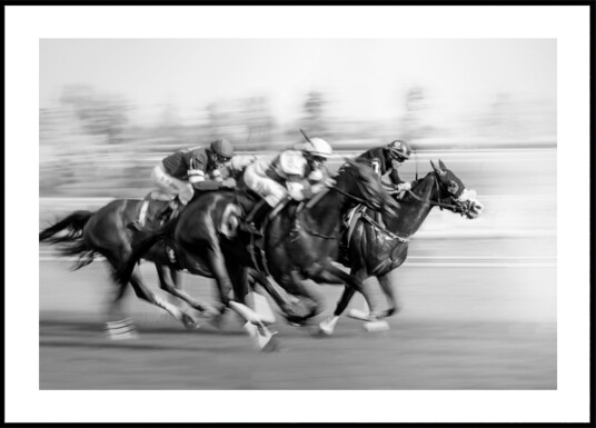 Galloping Racehorses Plakat / 30x40 Galloping Racehorses Plakat / 30x40