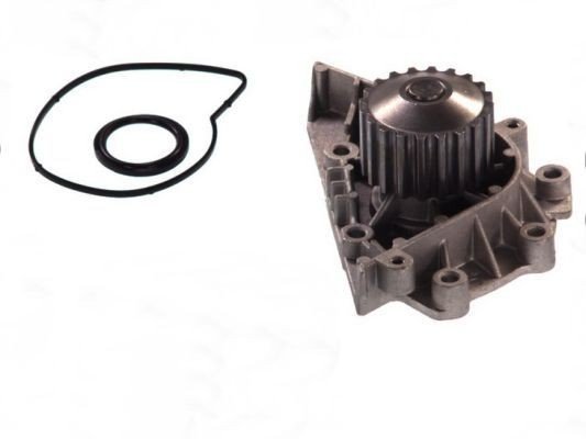 THERMOTEC D1P042TT Vannpumpe