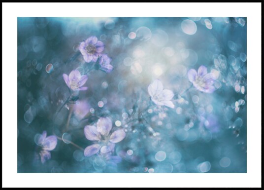 Dreamy Bokeh Flowers Plakat / 50x70 Dreamy Bokeh Flowers Plakat / 50x70