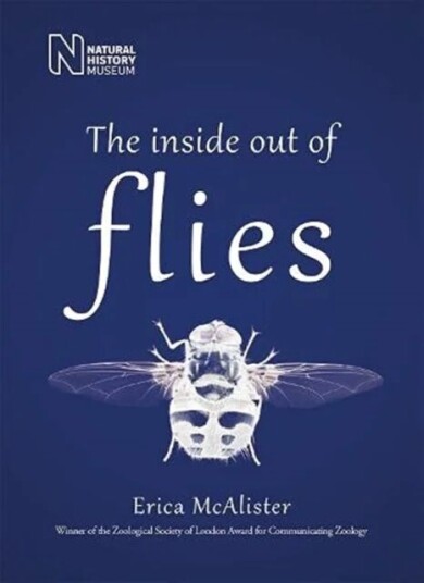 The Inside Out Of Flies Av Erica Mcalister The Inside Out Of Flies Av Erica Mcalister
