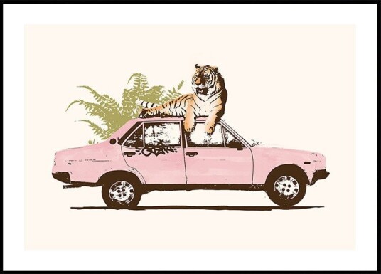 Tiger On Car Plakat / 21x30cm