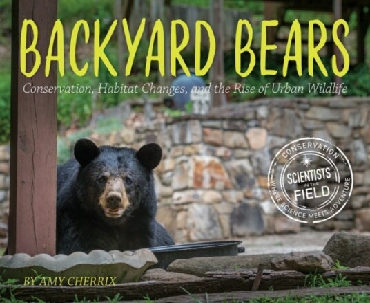 Backyard Bears  Conservation, Habitat Changes, and the Rise of Urban Wildlife