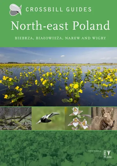 Crossbill Guides North east Poland Crossbill Guides North east Poland
