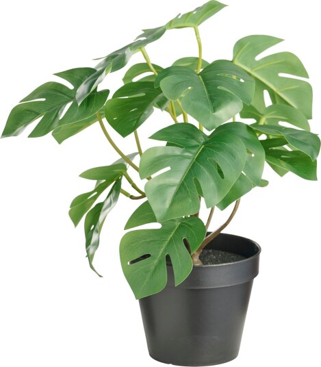DAY KUNSTIG PLANTE MONSTERA H32CM DAY KUNSTIG PLANTE MONSTERA H32CM