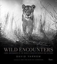 Wild Encounters Av David Yarrow