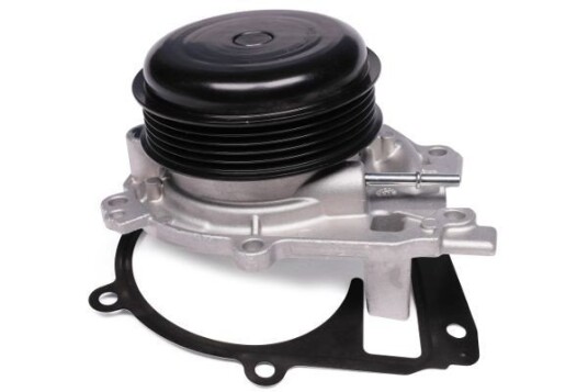 HEPU P1579 Vannpumpe