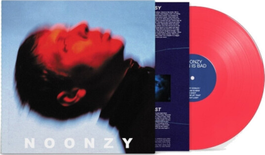 Noonzy Plan Is Bad Vinyl