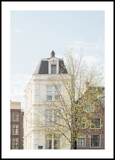 Spring In Amsterdam Plakat Plakat / 40x50cm Spring In Amsterdam Plakat Plakat / 40x50cm