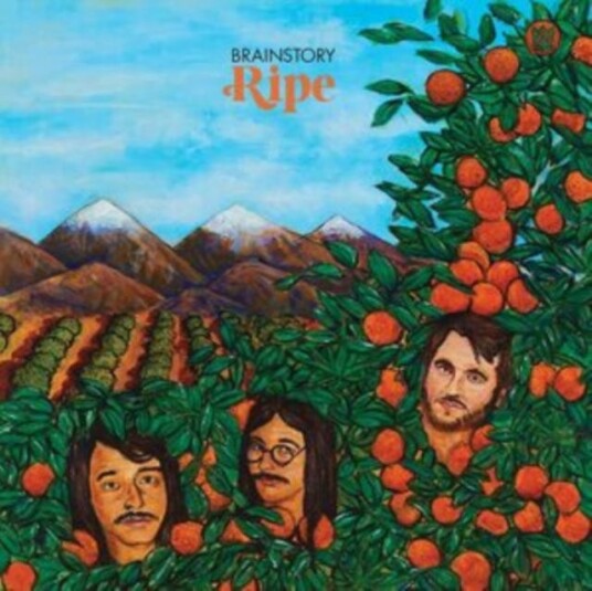 Brainstory Ripe LP/Vinyl