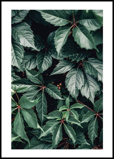 Wild Green Leaves Plakat Plakat / 100x150cm Wild Green Leaves Plakat Plakat / 100x150cm