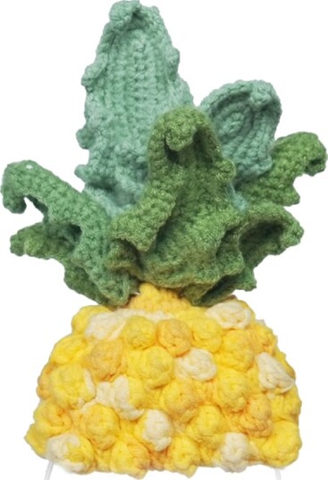 Loona Premium Strikket Ananas Kostyme