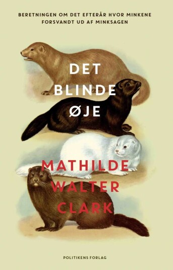 Det Blinde Øje Av Mathilde Walter Clark
