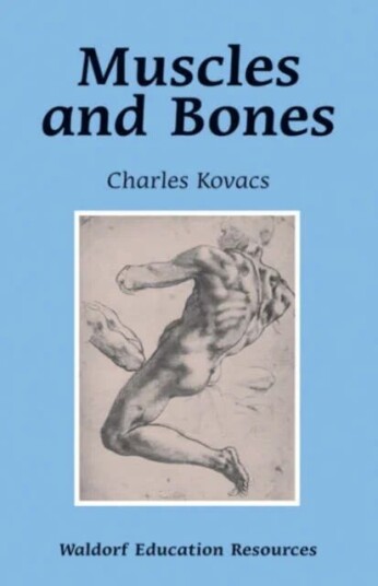 Muscles And Bones Av Charles Kovacs