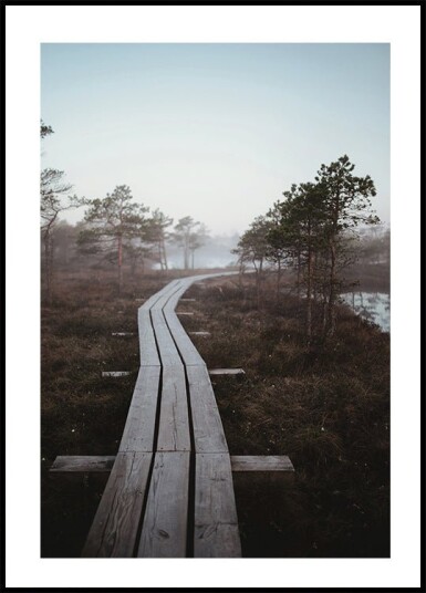 Riga Swamp Plakat Plakat / 50x70cm