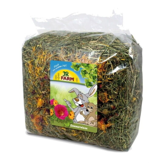 Jr Farm Sommereng 500 G