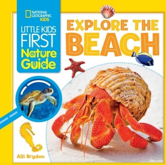 Explore The Beach Av Alli Brydon, National Geographic Kids