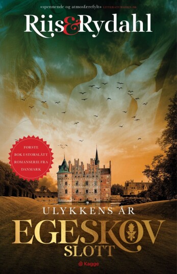 Ulykkens år Ulykkens år