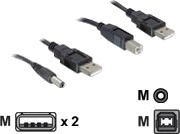 Delock   Strømkabelsett   Usb Hann Til Usb Type B Ls Jack 2,1 Mm Hann   30 Cm