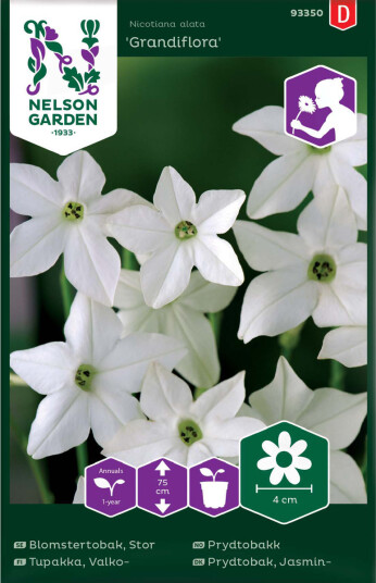 Nelson Garden Prydtobakk Grandiflora Hvit Nelson Garden Prydtobakk Grandiflora Hvit