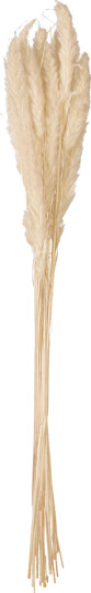 Jolipa Pampas Grass Straw Bunch, Dried Natur, 75cm