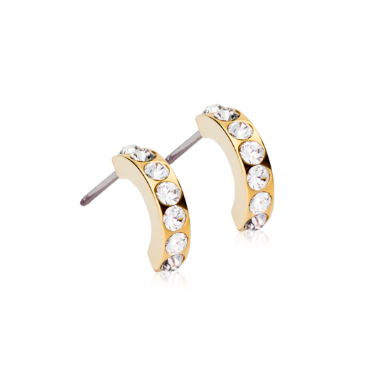 Blomdahl Natural Titanium Earrings Pendant Brilliance Curved 10 mm Cry