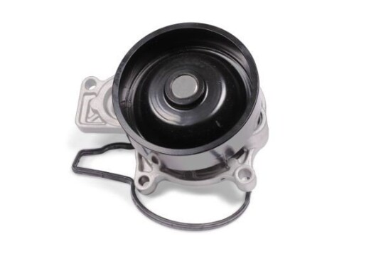 HEPU P436 Vannpumpe HEPU P436 Vannpumpe