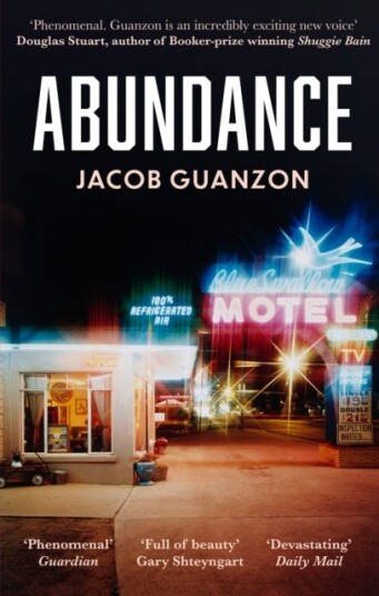 Abundance Unputdownable and heartbreaking comingofage fiction about fathers and sons Abundance Unputdownable and heartbreaking comingofage fiction about fathers and sons