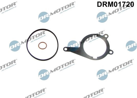 Tetning, vakuumpumpe DR.MOTOR AUTOMOTIVE DRM01720