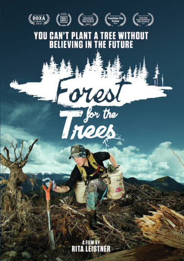 Forest For The Trees DVD