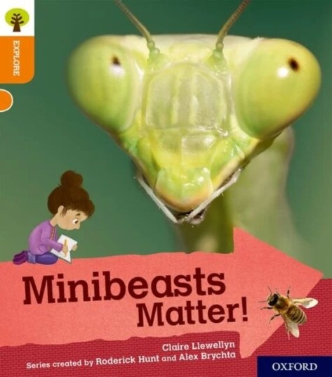 Oxford Reading Tree Explore With Biff, Chip And Kipper: Oxford Level 6: Minibeasts Matter! Av Claire Llewellyn