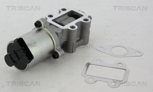 EGR Ventil TRISCAN 8813 13102 EGR Ventil TRISCAN 8813 13102