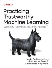Practicing Trustworthy Machine Learning Av Yada Pruksachatkun, Matthew Mcateer, Subhabrata Majumdar