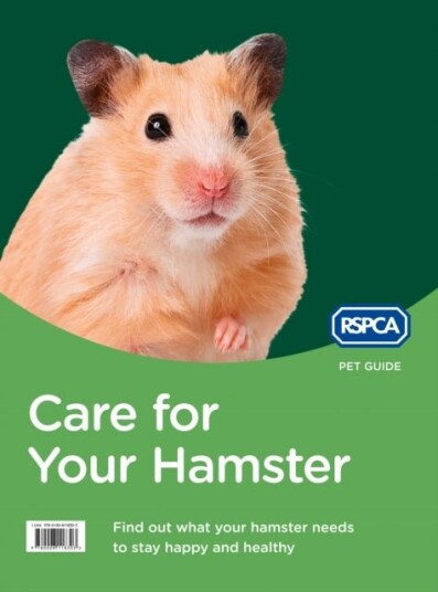 Care for Your Hamster Care for Your Hamster