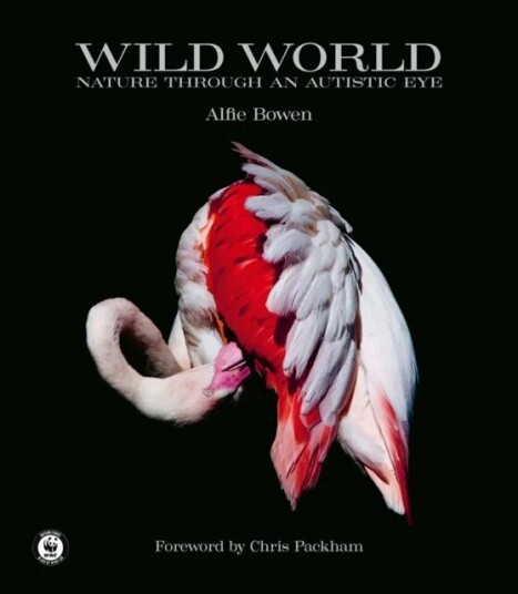Wild World Av Alfie Bowen