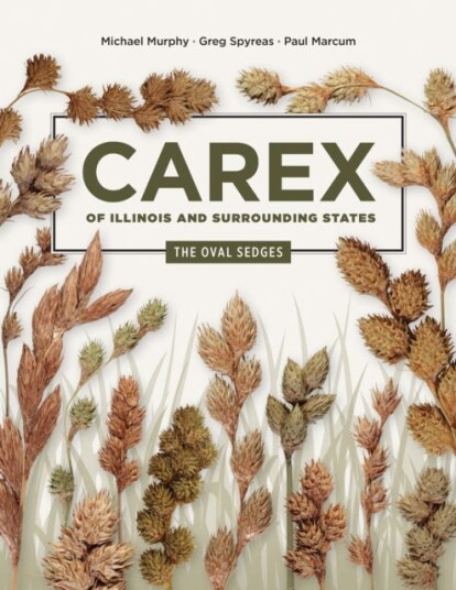 Carex of Illinois and Surrounding States The Oval Sedges