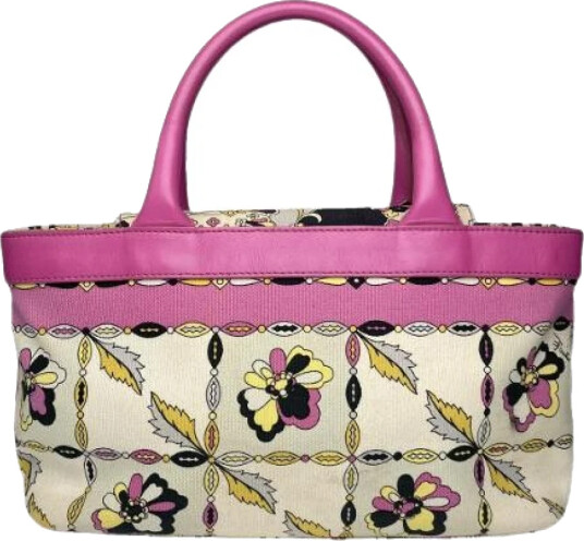 Emilio Pucci Dame Flerfarget