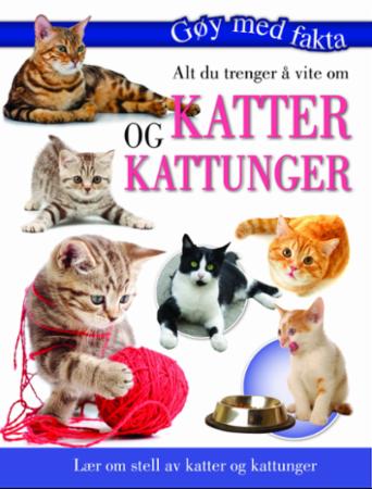 Alt du trenger å vite om katter og kattunger Alt du trenger å vite om katter og kattunger