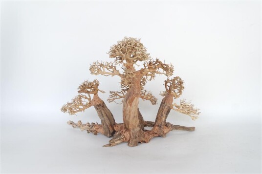 Akudim Akvariedekorasjon Bonsai Tre 40X25X20Cm Akudim Akvariedekorasjon Bonsai Tre 40X25X20Cm