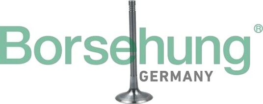 Borsehung B19024 Innløpsventil