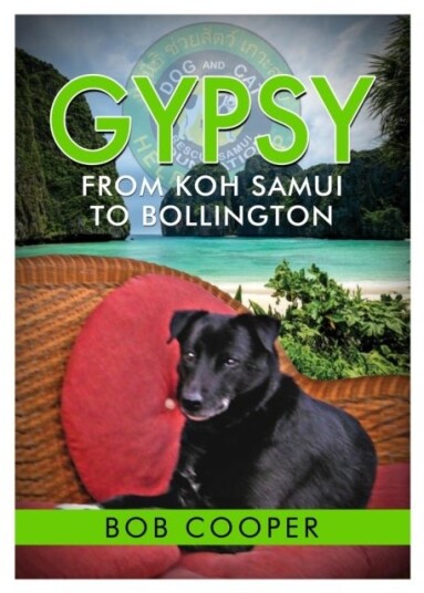 Gypsy From Koh Samui to Bollington