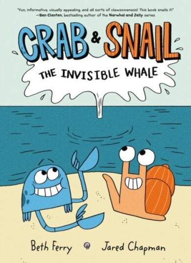 Crab And Snail: The Invisible Whale Av Beth Ferry
