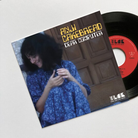 Anji Cakebread Dear Computer LP/Vinyl
