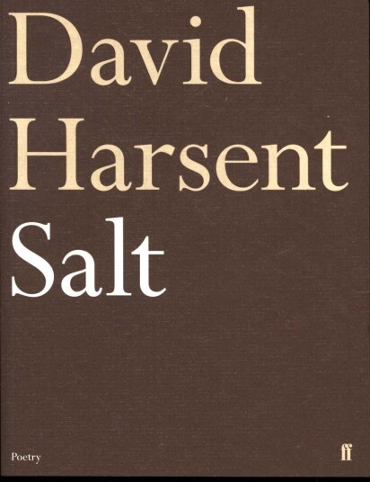 Salt Av David Harsent