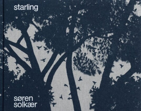 S?Ren Solk?R: Starling