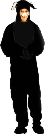 Charlie Crow Katt Lucky kostyme til voksen 993039-config
