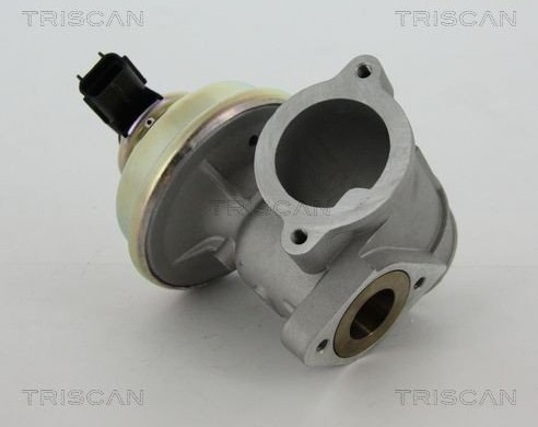 EGR ventil TRISCAN 8813 16102